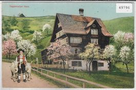 Toggenburger Haus im Frühling mit Ziegen - Litho