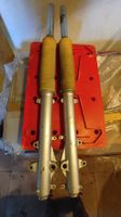 Yamaha Super Tenere XTZ 750 Gabelstandrohre