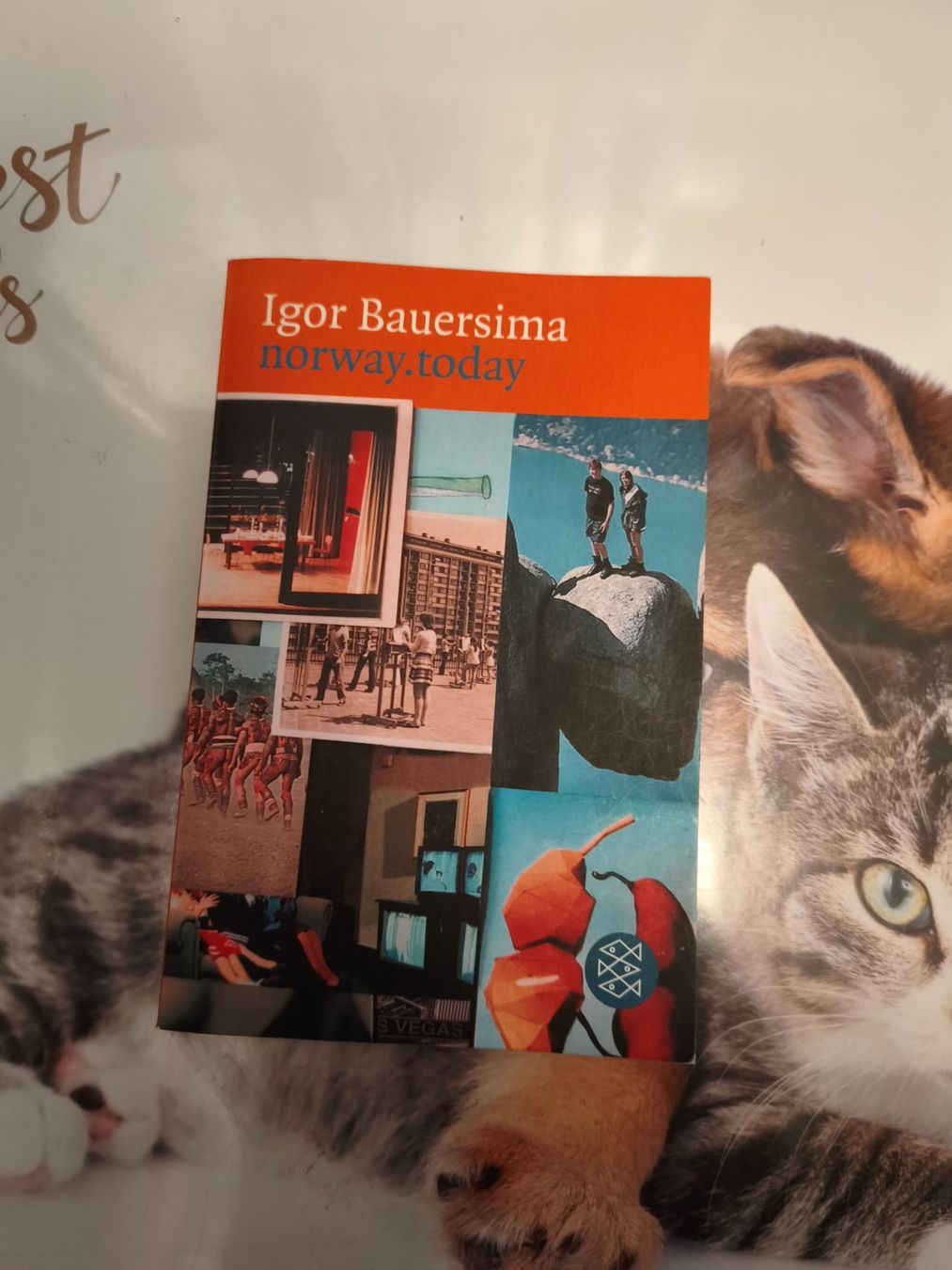 Libri: Norway today von Igor Bauersima – Nuovo (secondo la descrizione) da Starrkirch-Wil venduto da wae_xd2j