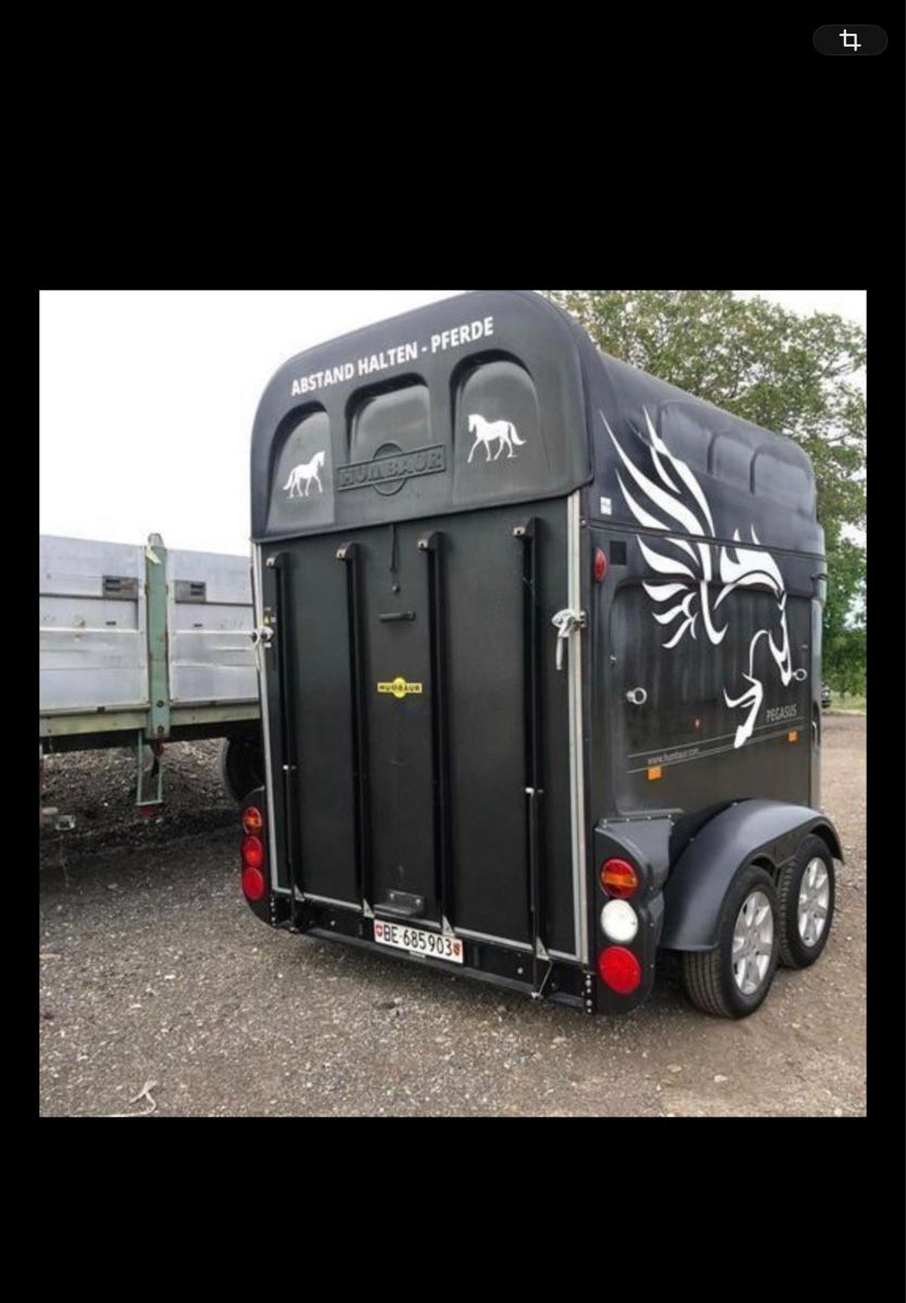 Humbaur Rimorchi: Pferdeanhänger Humbaur HP 2000 MX Pegasus – Usato da Rüeggisberg venduto da Carohut 1