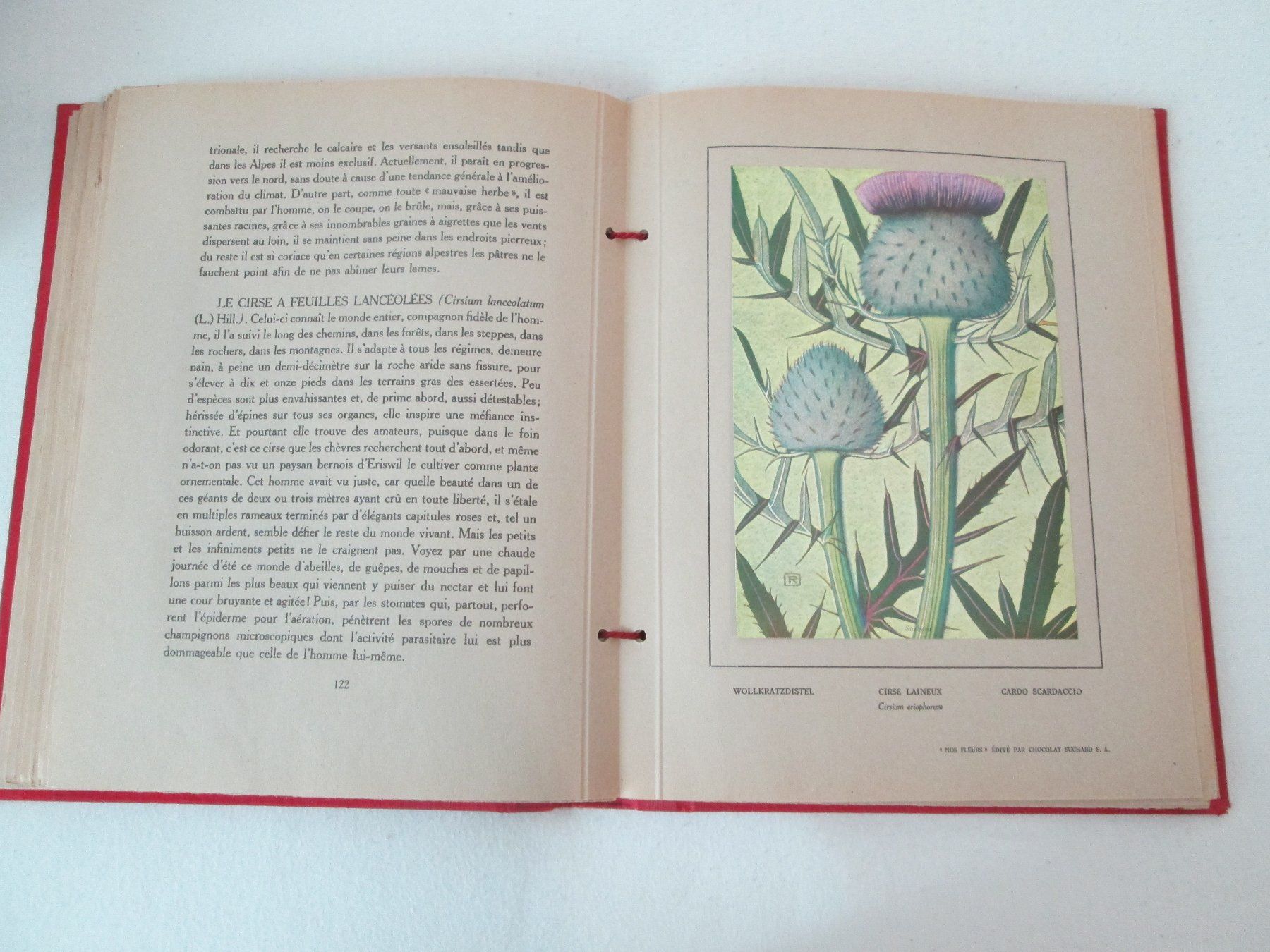Livres: Nos Fleurs – D'occasion à Neuchâtel par Dualseele 7