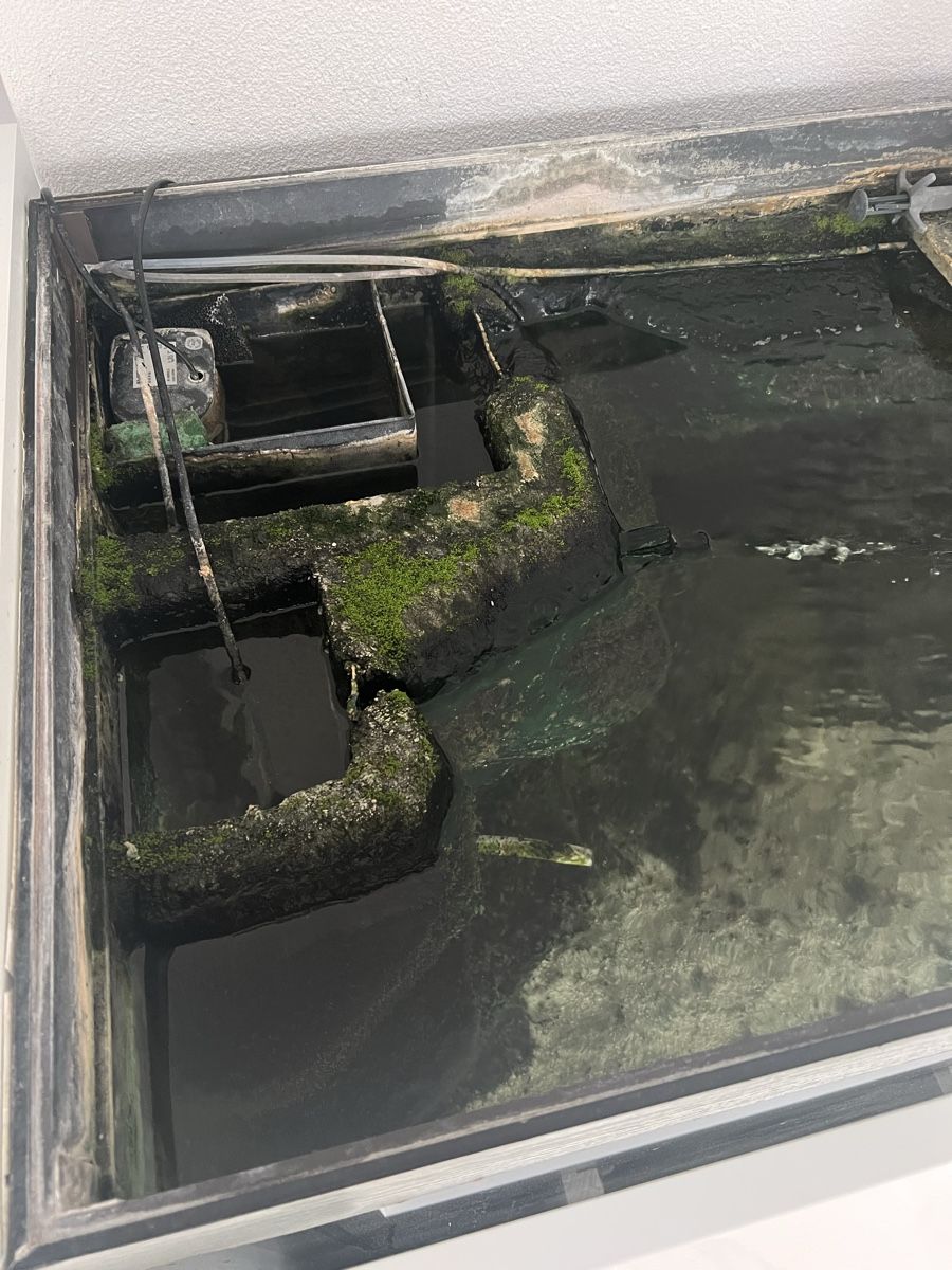 Acquari: Grosses Aquarium – Usato da Dietwil venduto da sarn 5