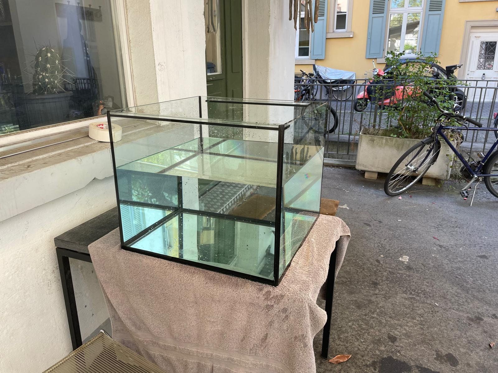 Acquari: Aquarium, spezielle Masse – Usato da Zürich venduto da sebuliza 2