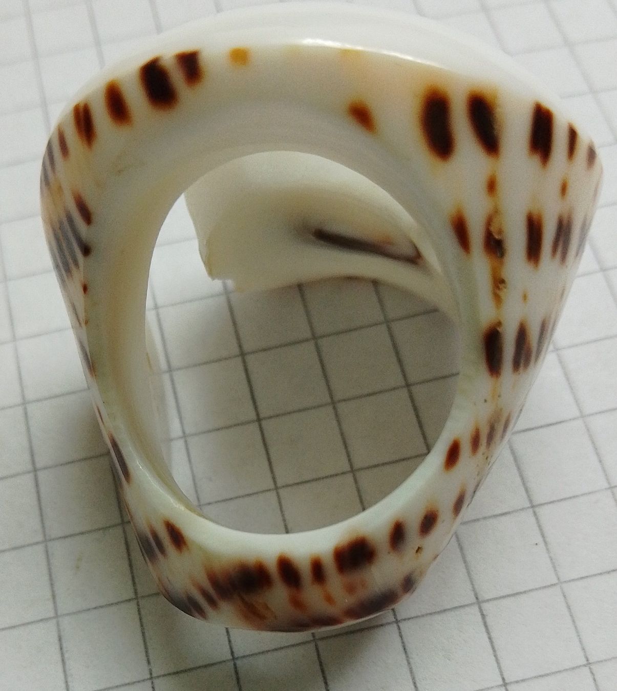 Anelli: Fingerring Vintage Schmuck mit Spiraldesign 3x2,5cm – Usato da Wohlen AG venduto da salamanderspielwaren 2