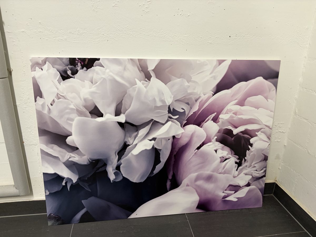 Foto & Immagini: Fotobild 118x83cm – Usato da fraubrunnen venduto da Somu
