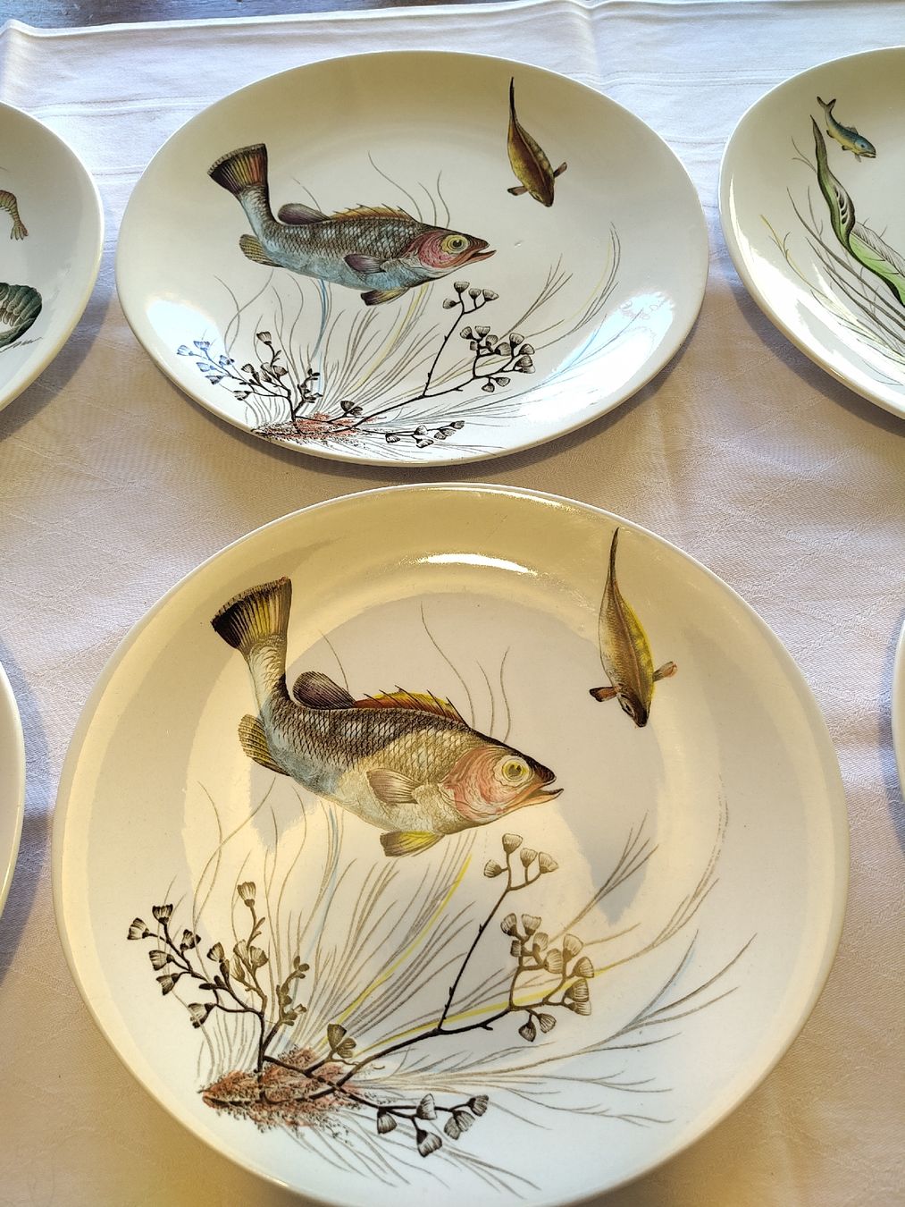 Johnson Brothers Services de table: Teller Set Johnson Bros Fish Design 11 – D'occasion à Biel/Bienne par DoNa82 4