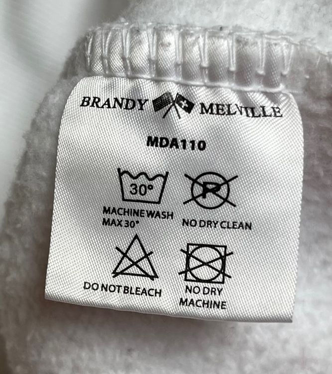 Brandy melville clearance swiss hoodie