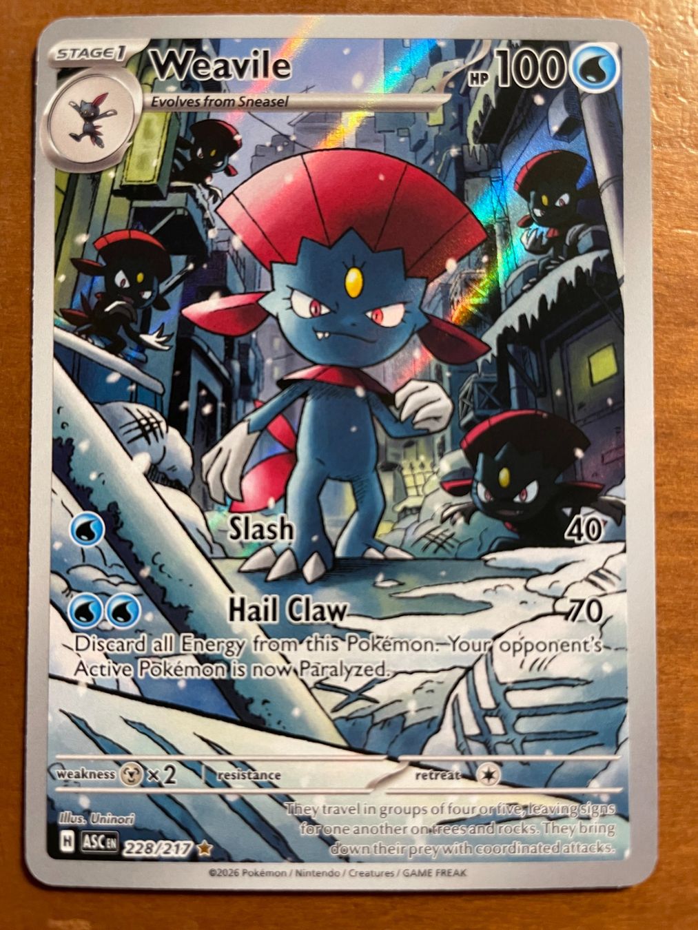 Pokémon Carte collezionabili: Pokemon Weavile (Versand gratis) – Nuovo (secondo la descrizione) da Chur venduto da Angerson