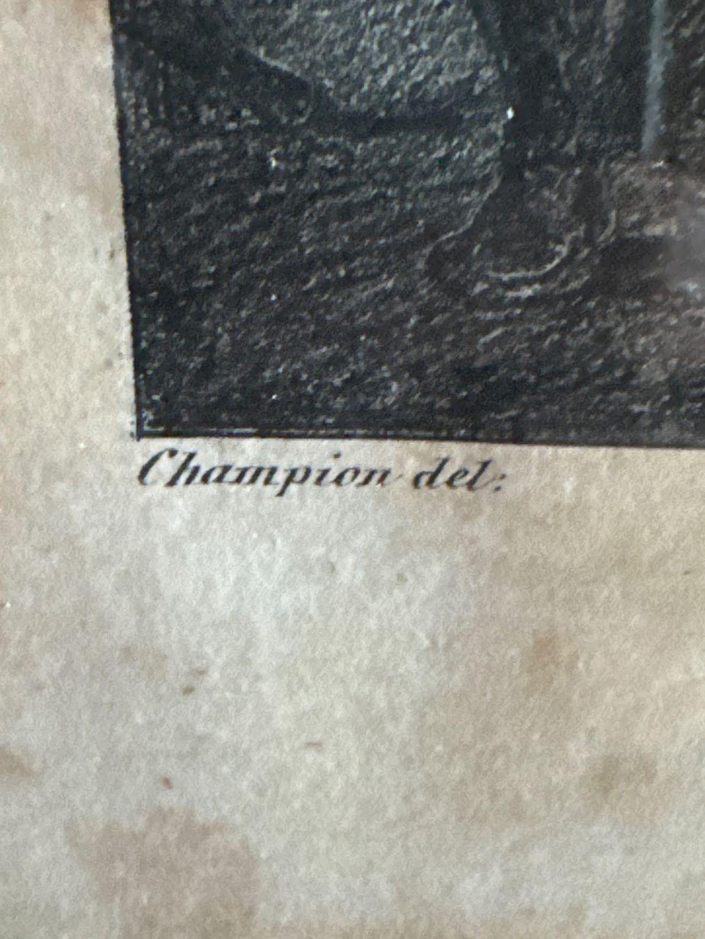 Grafica & Litografie: Superbe lithographie représentant la Bataille de Lützen – Usato da Erde venduto da CBarts 2