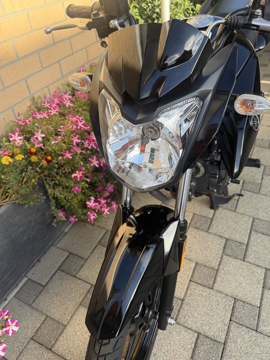 Yamaha Strada: Yamaha YS-125 – Usato da Egerkingen venduto da Commodore4ever 1