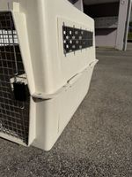 Sky Kennel Hundebox guter Zustand