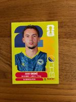 FIFA WC 2026 Amar Dedic BIH 3