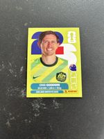 Panini AUS 17