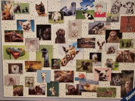Ravensburger Puzzle "Hunde" 1500 Teile