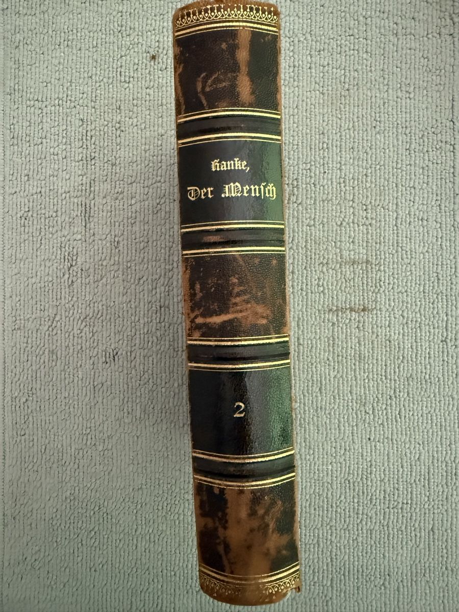 Libri: ///Ranke, Der Mensch, 1894, Antikes Buch/// – Usato da Birmenstorf AG venduto da Pat_roll