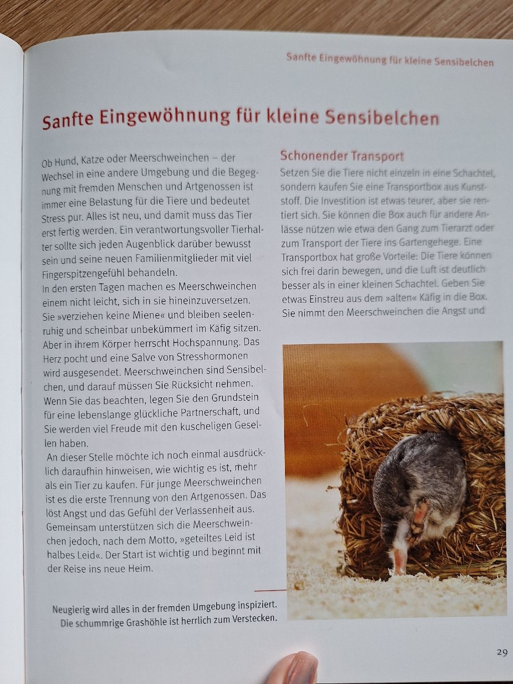 Bücher: Meerschweinchen - Tierratgeber – Neu (gemäss Beschreibung) aus Frauenfeld von Manu805 2