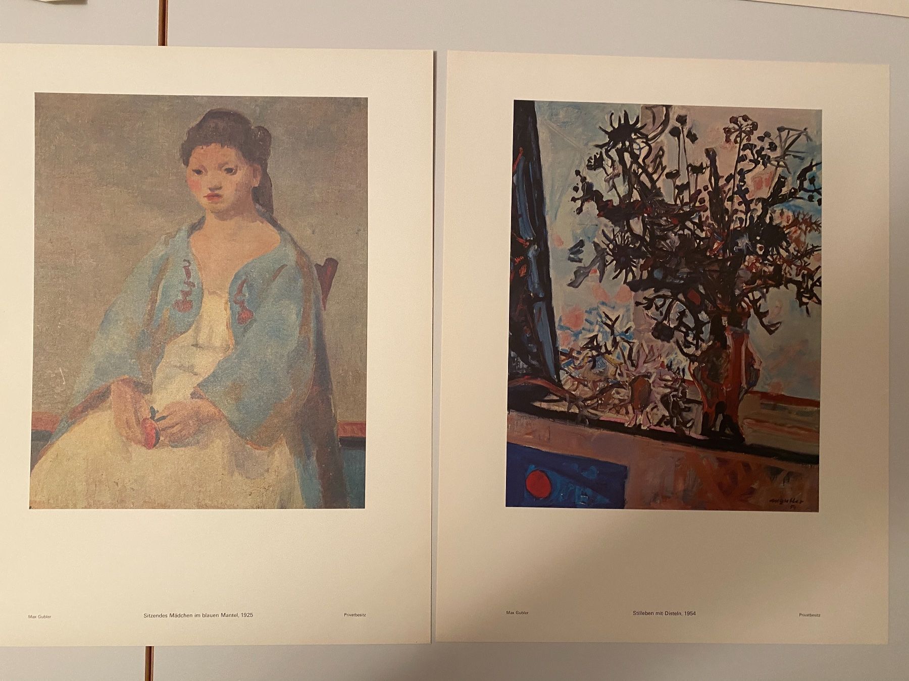 Foto & Immagini: Kunstmappe Max Gubler – Usato da Lüchingen venduto da LIDB
