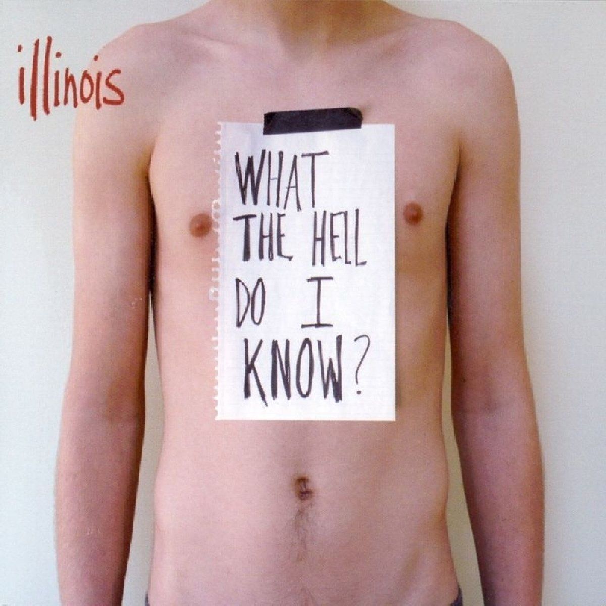 CD: Illinois - What the Hell Do I Know – Usato da Altdorf UR venduto da boardsofcanada