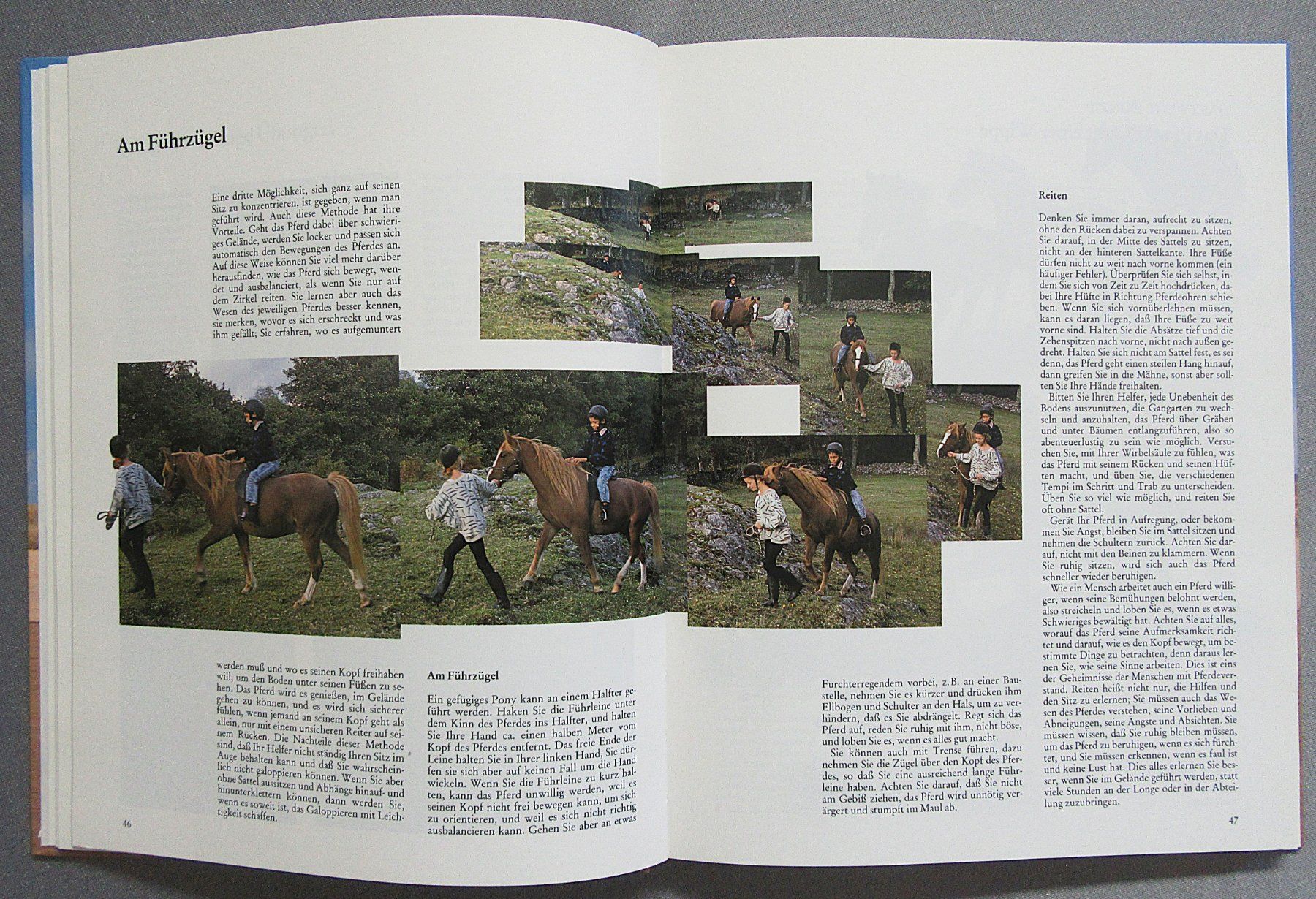 Libri: Reiten - perfekt gelernt - moderne Reitlehre – Usato da Auenstein venduto da Padabimbim 4