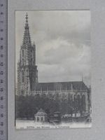 Bern, 1906, Münster
