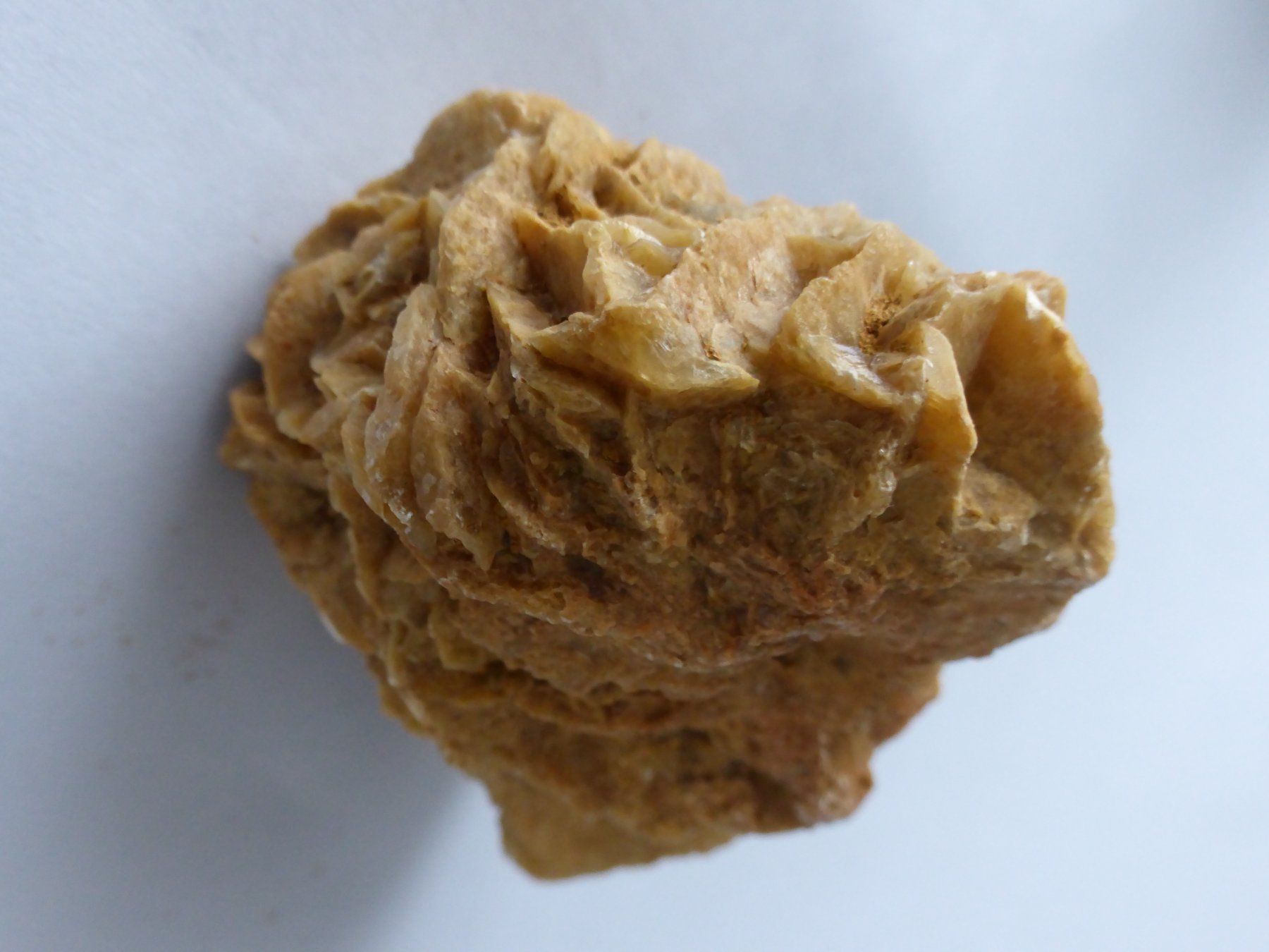 Mineralien & Heilsteine: Schweizer Gipsrose (Sandrose) – Gebraucht aus Triengen von Nussbaum14 5