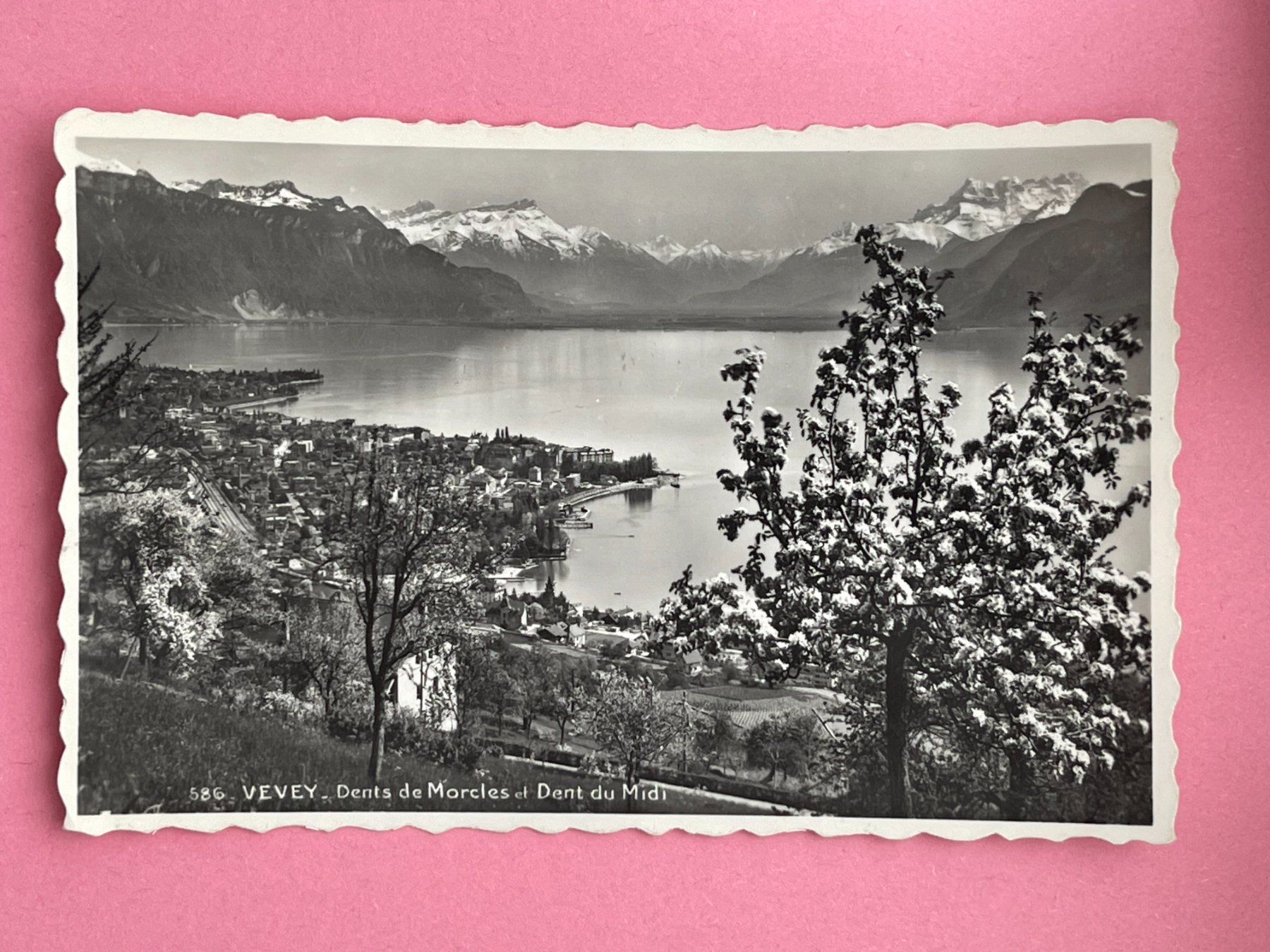 Cartoline postali: Vevey, Dents de Morcles et Dent du Midi – Usato da Steg VS venduto da danwer74