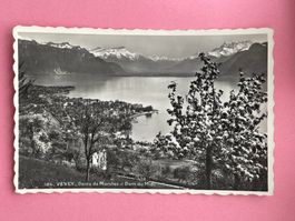 Vevey, Dents de Morcles et Dent du Midi