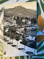 Ansichtskarte Locarno Park am See gelaufen 1954 Zustand gut