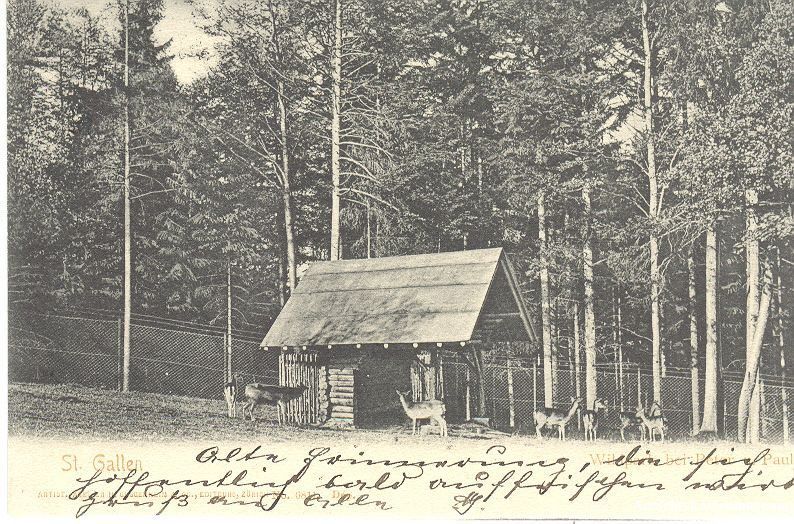 Cartoline postali: St. Gallen - Wildpark + 1902 TOP – Usato da Emmenbrücke venduto da teestube