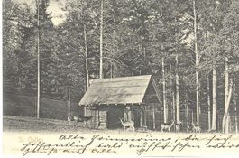 St. Gallen - Wildpark + 1902 TOP