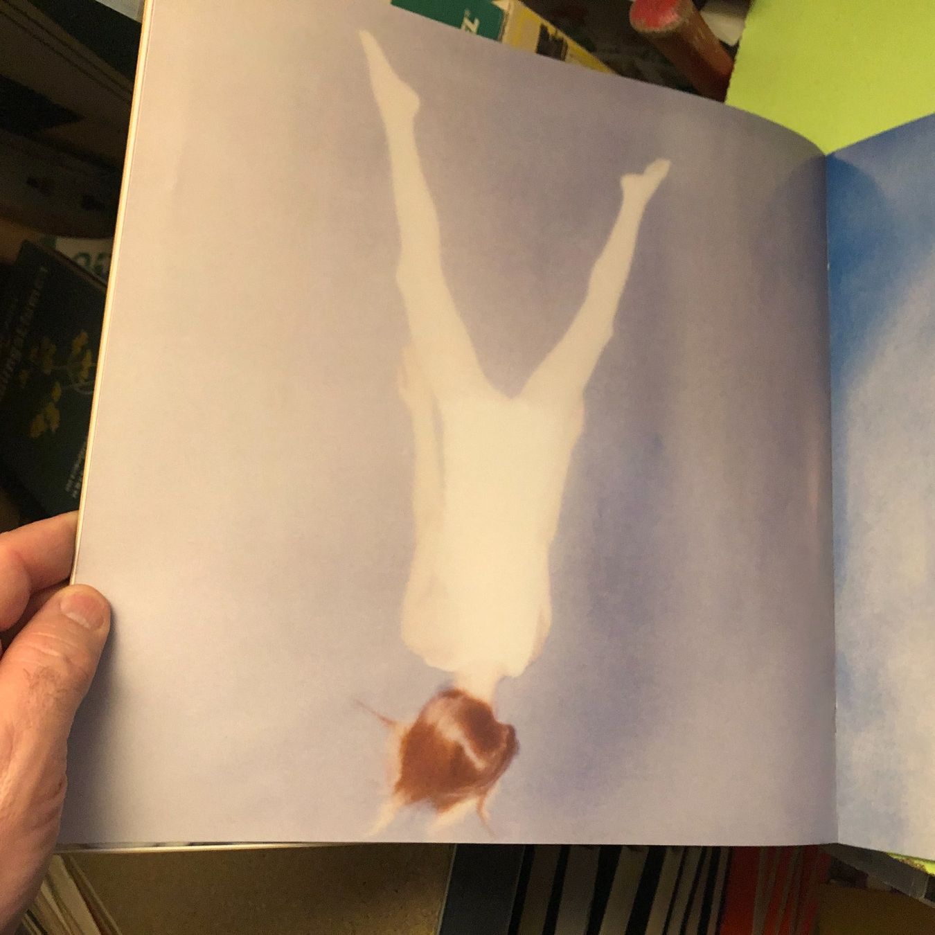 Libri: Michal Rovner: ANI-MAL / Animal. – Usato da Zürich venduto da allp 4