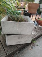 2Blumentöpfe 35x35xh16cm