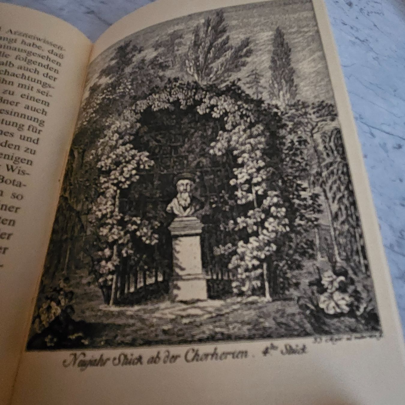 Libri: Die Reise auf den Uetliberg – Usato da Uster venduto da Sonnenblume212 7