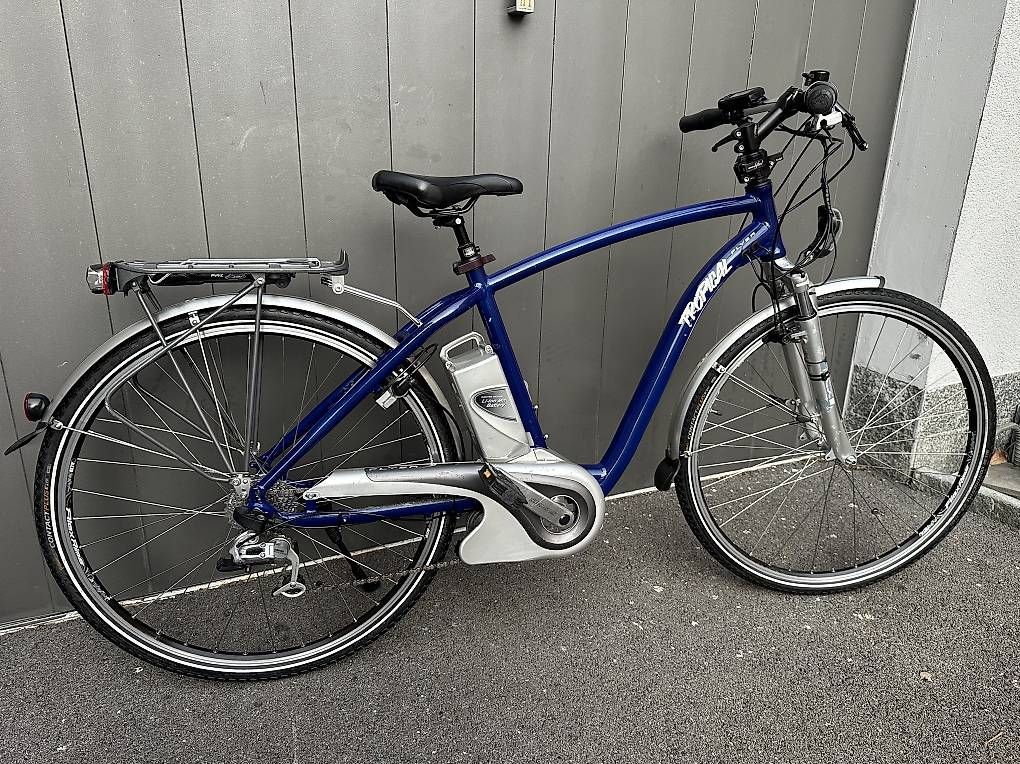 Velos: E-bike da uomo Flyer Tropical 28 – Gebraucht aus Quartino von DiloUsato 3