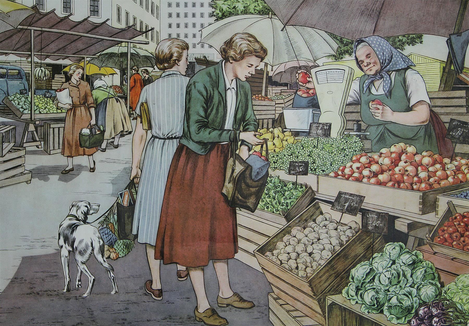 Foto & Immagini: Schulwandbild "Obst- und Gemüsemarkt" – Usato da Birrwil venduto da brandschatz_birrwil 2