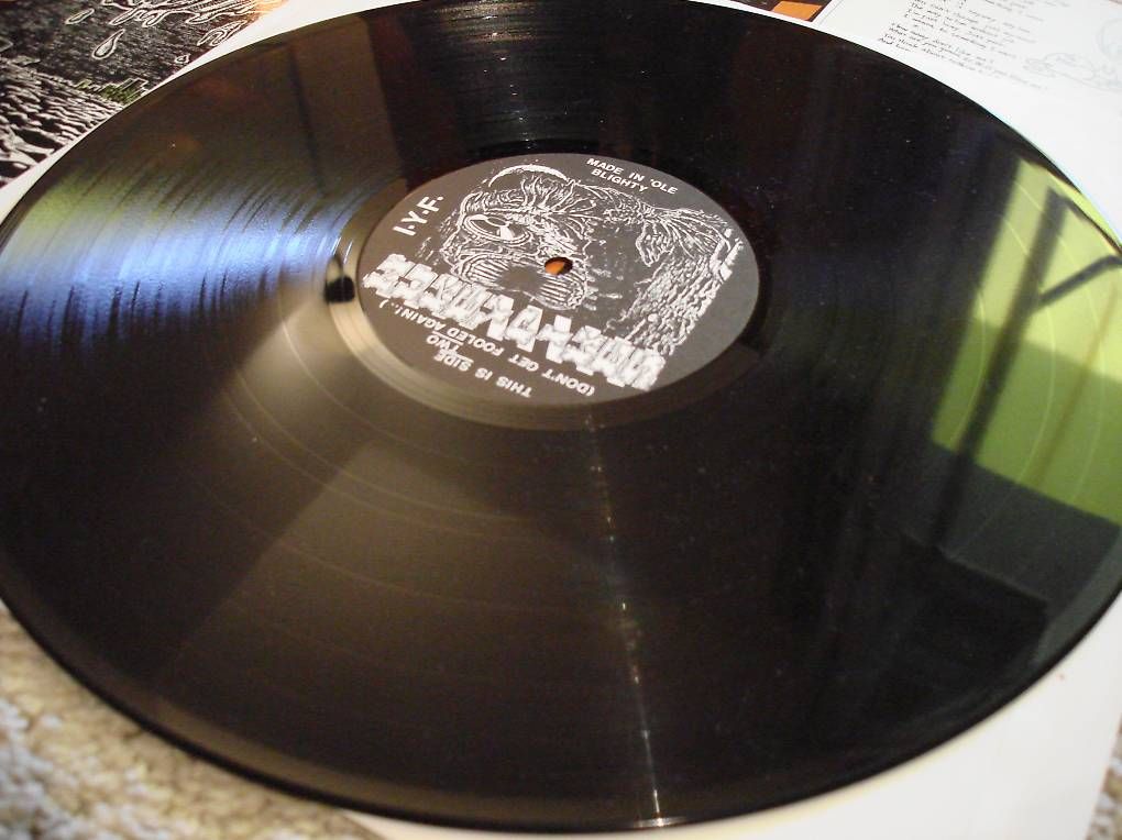 Dischi in vinile: NUKEY PIKES  LP  1991 – Usato da Niederweningen venduto da tsnuk333 2