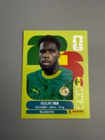 Panini Boulaye Dia SEN17