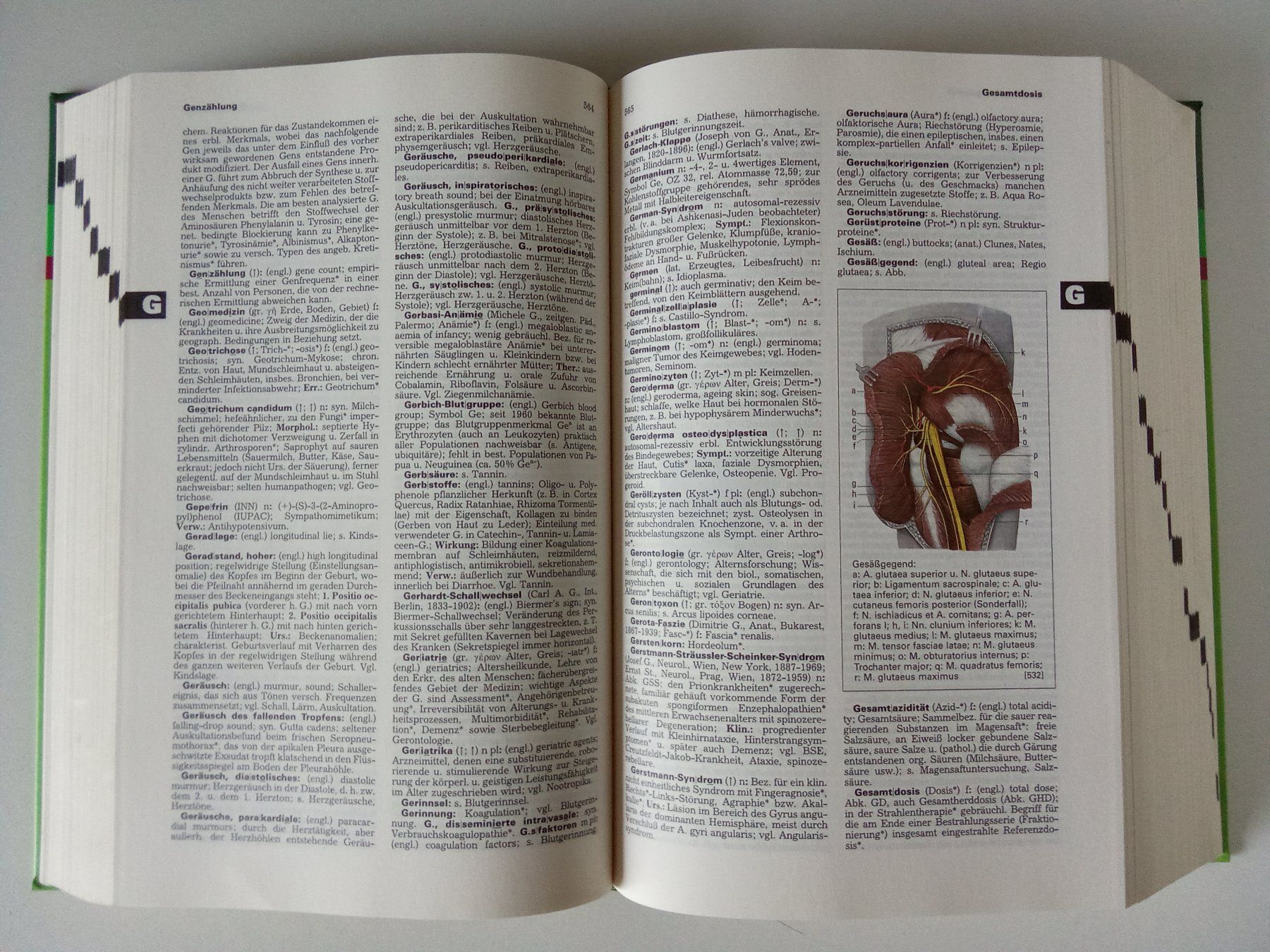 Libri: Klinisches Wörterbuch – Usato da Bilten venduto da Bora3 5