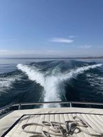 Sportyacht 2005 Absolute 41