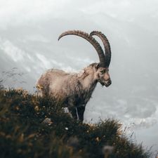 Profile image of Jebu7