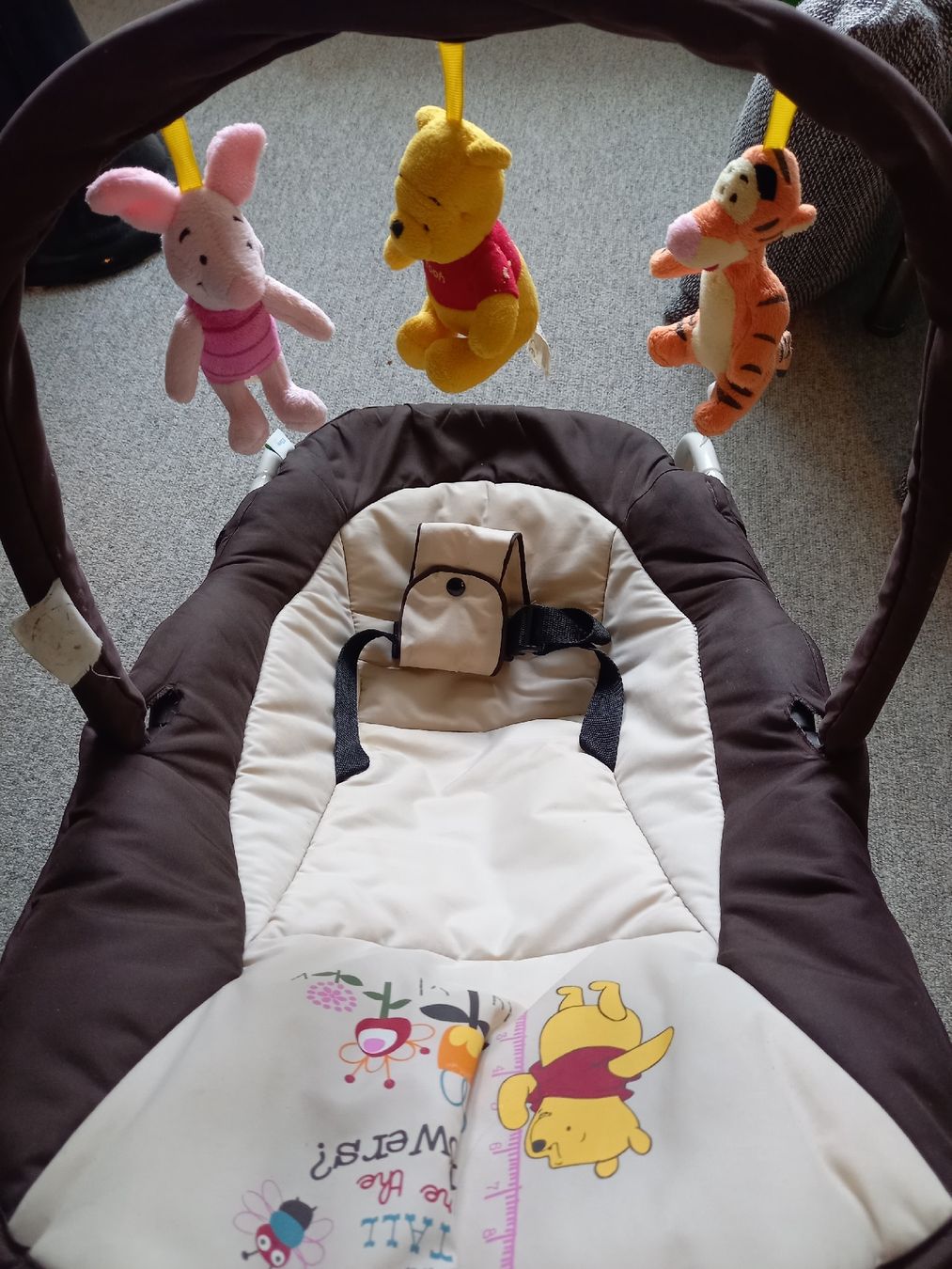 Sdraiette & Sdraiette a dondolo: Babywippe Winnie Puuh – Usato da Lichtensteig venduto da patrik1990 1