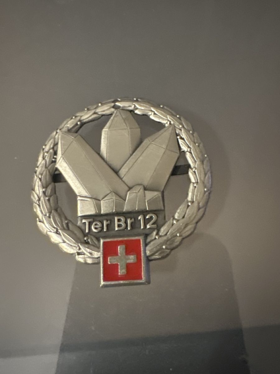 Schweizer Armee Placchette & Badge: Armee 12 – Usato da Morbio Inferiore venduto da Ecod