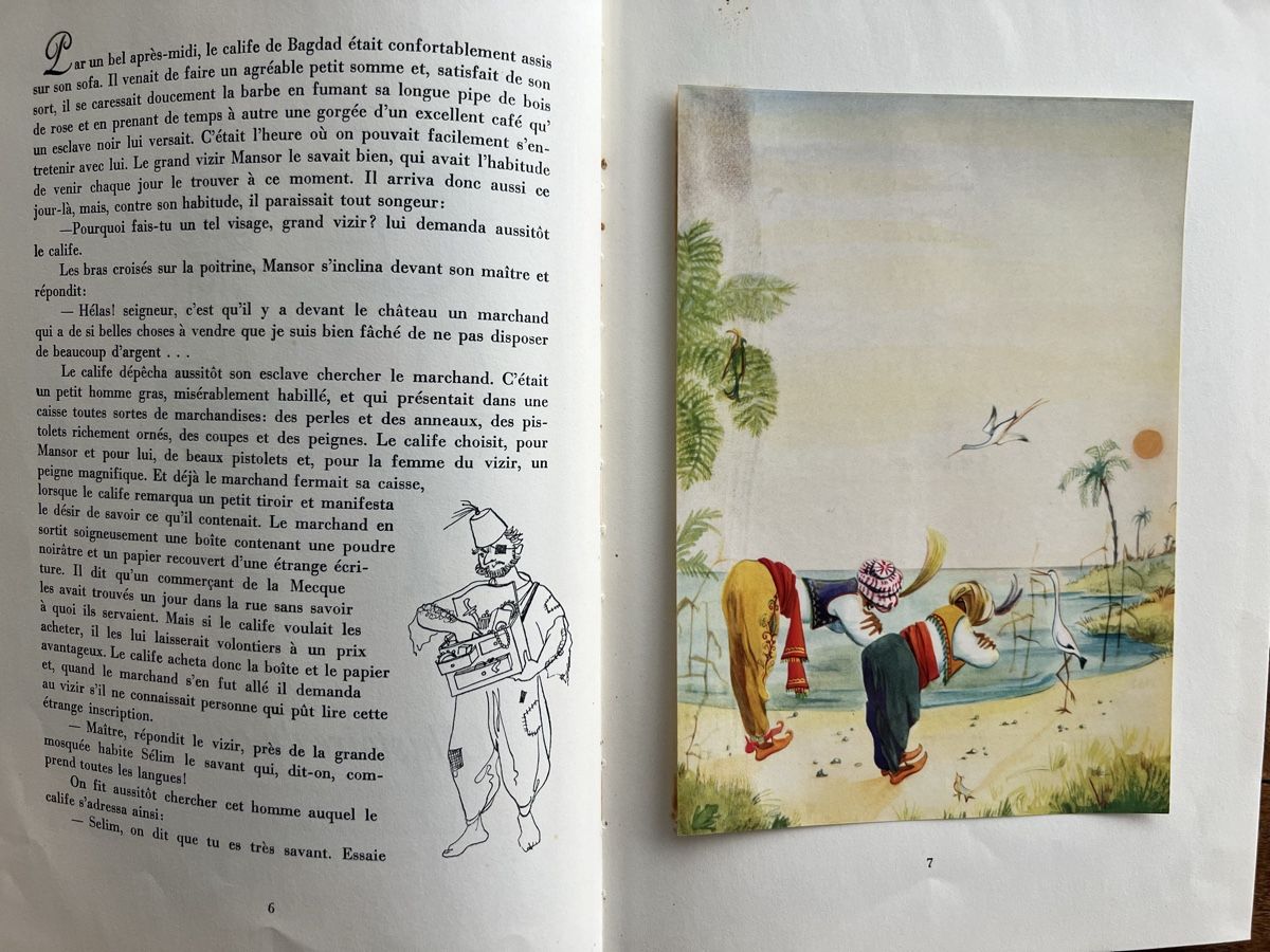 Libri: Contes illustrés pour enfants - Hauff – Usato da Savigny venduto da ron_q529 4