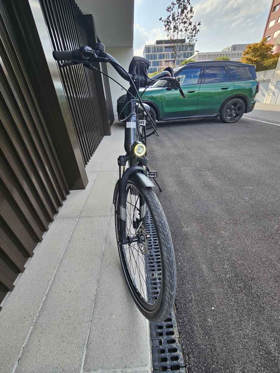 Flyer Biciclette: E-Bike Flyer – Usato da Bern venduto da ser_7vtn 7