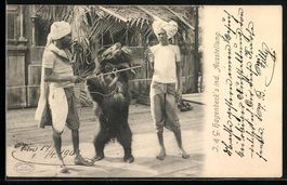 Jardin Zoologique d'Acclimatation, Les M