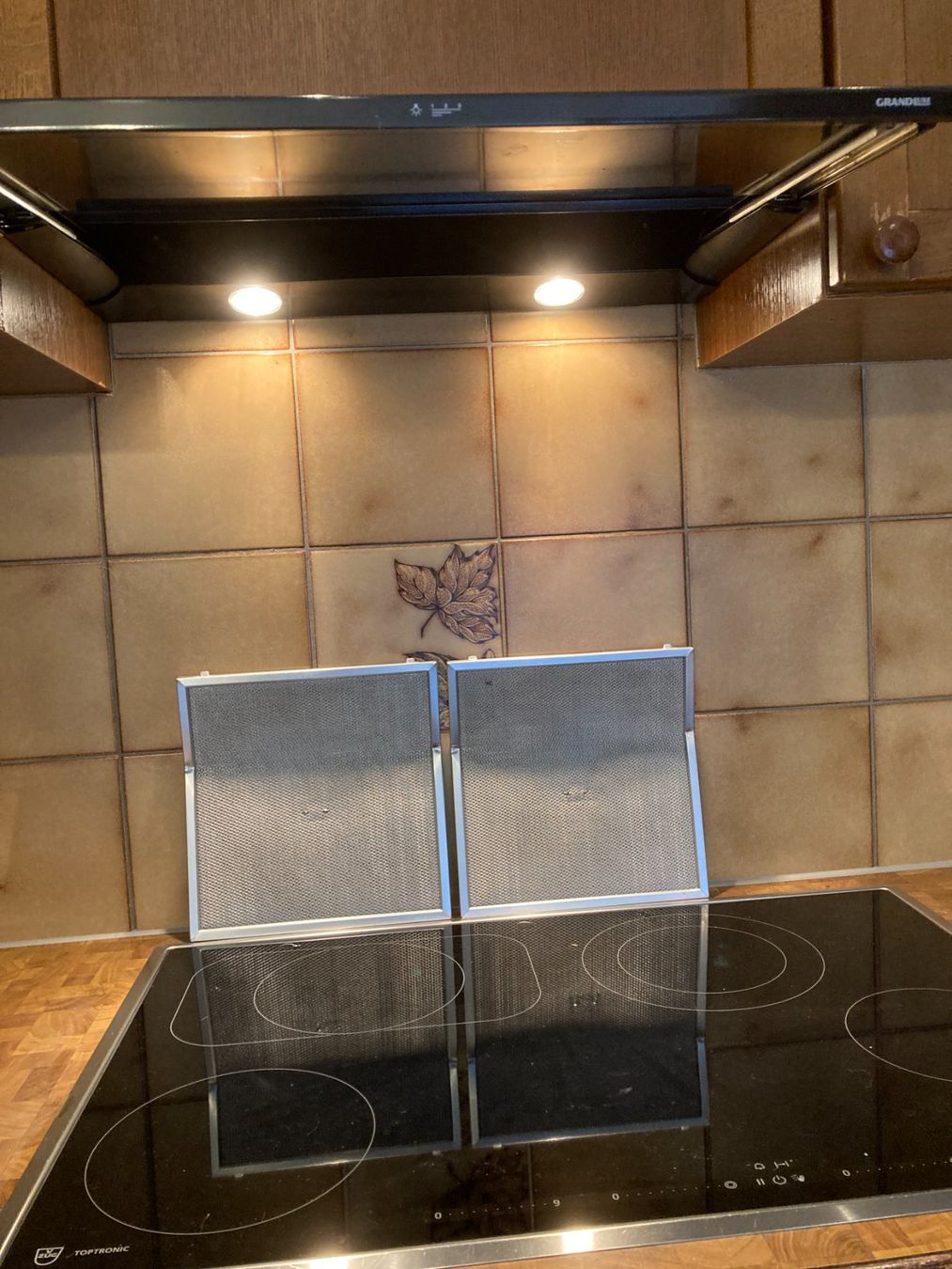 Electrolux Dampfabzug: Dampfabzug Electrolux DA 23 010 – Gebraucht aus willisau von buddali
