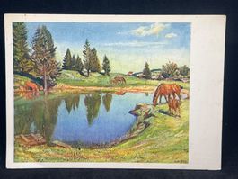 Ansichtskarte ProInfirmis: Ch. L'Eplaytenier - Am Bergsee