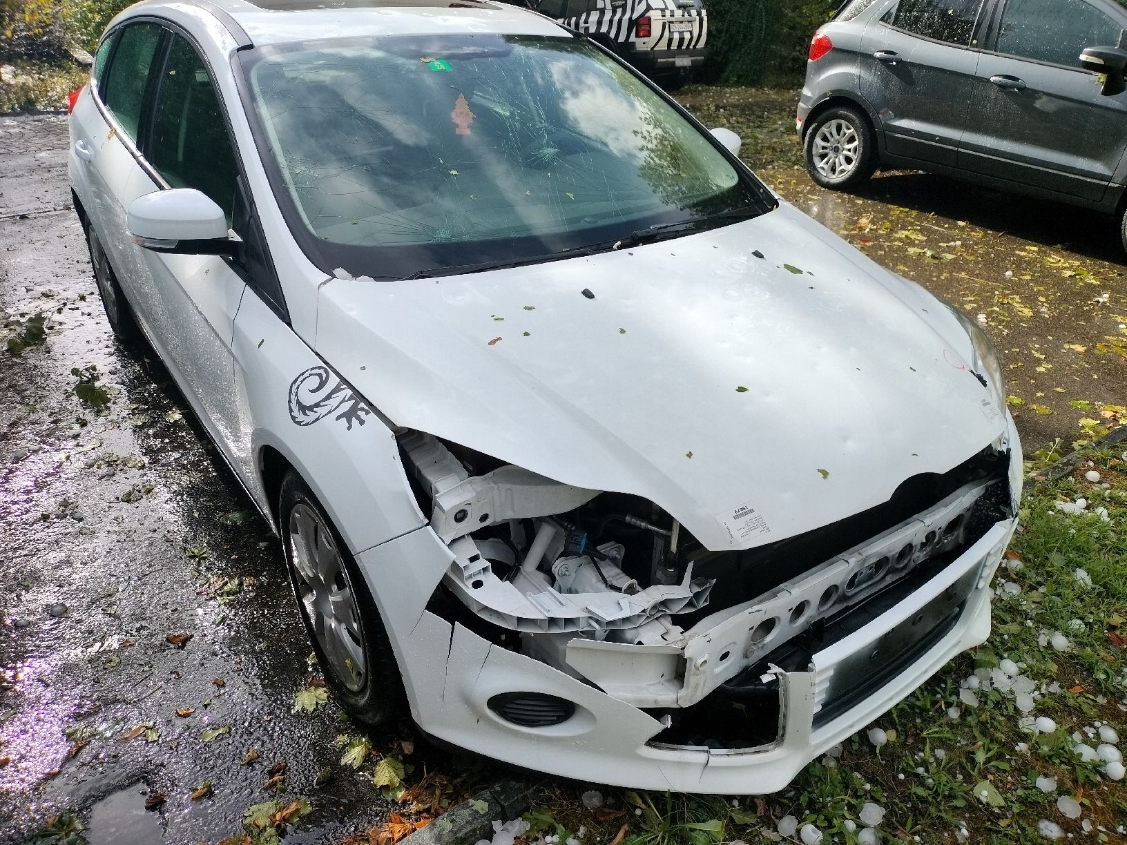 Ford Automobili: Ford Focus – Usato da Seuzach venduto da Flyinghirsch69