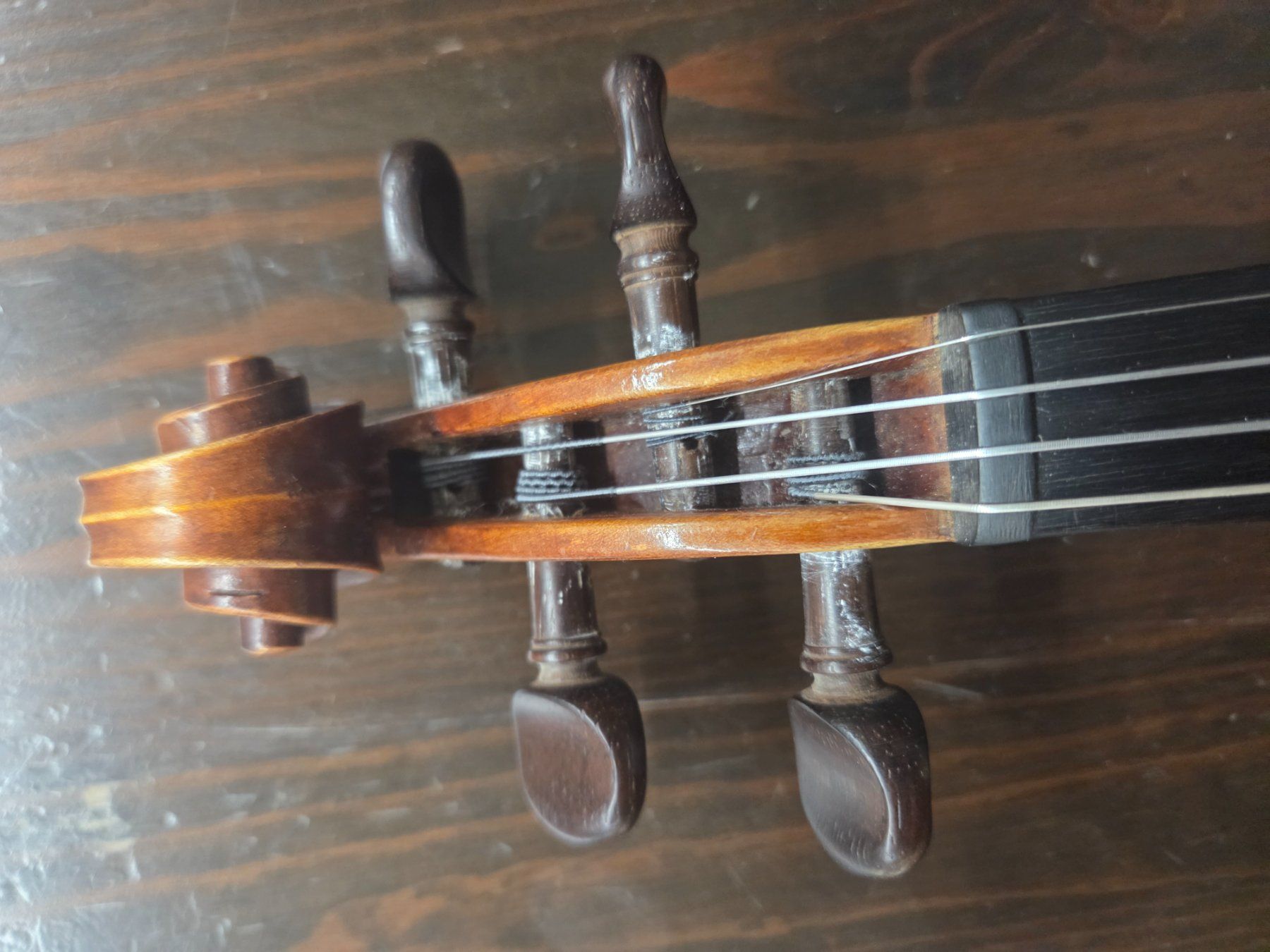Instruments de musique: Geige 4/4 – D'occasion à Bern par BaernerBrocki 5