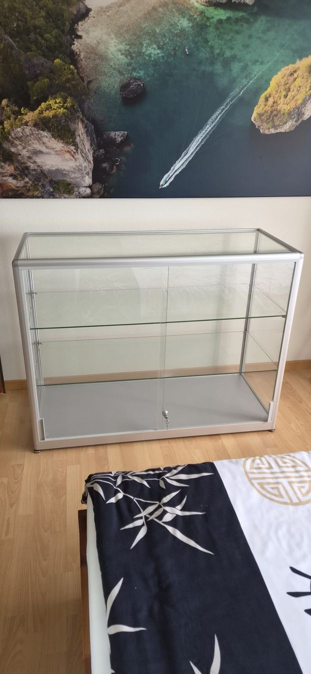 Vetrine: Glas Vitrine – Usato da Steinach venduto da Gregi91